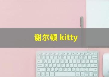 谢尔顿 kitty